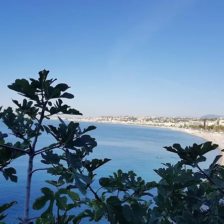 דירה & Les Cypres *